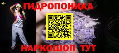 PSILOCYBIN Берёзовский