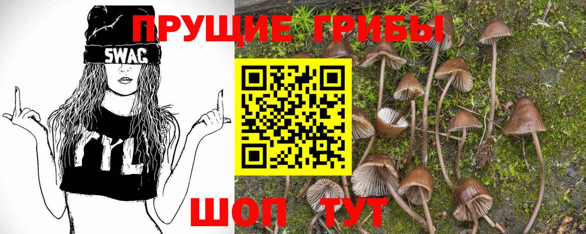 Касимов  Псилоцибиновые грибы мухоморы  Вход с VPN 