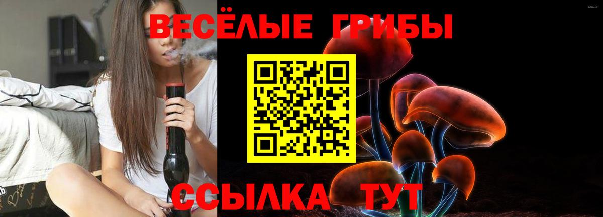 Псилоцибиновые грибы ЛСД Касимов